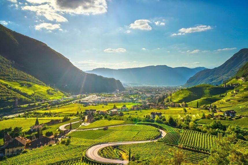 Tutto quello che c' da sapere sui vini del Trentino-Alto Adige